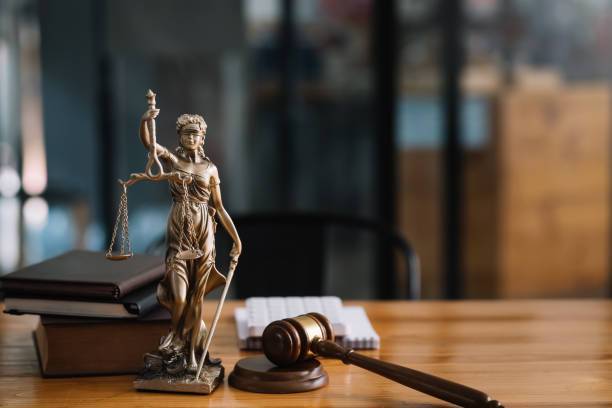 Comment défendre vos droits à Strasbourg, en famille comme en affaires ?